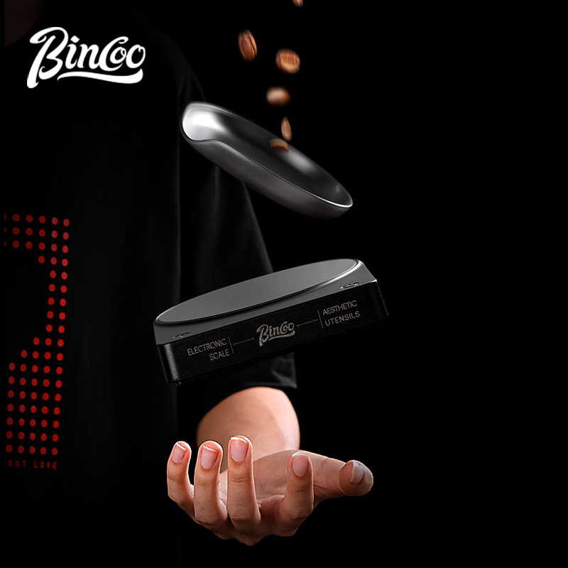 BINCOO-báscula Digital de café - Smart Home Simple reseña y precio