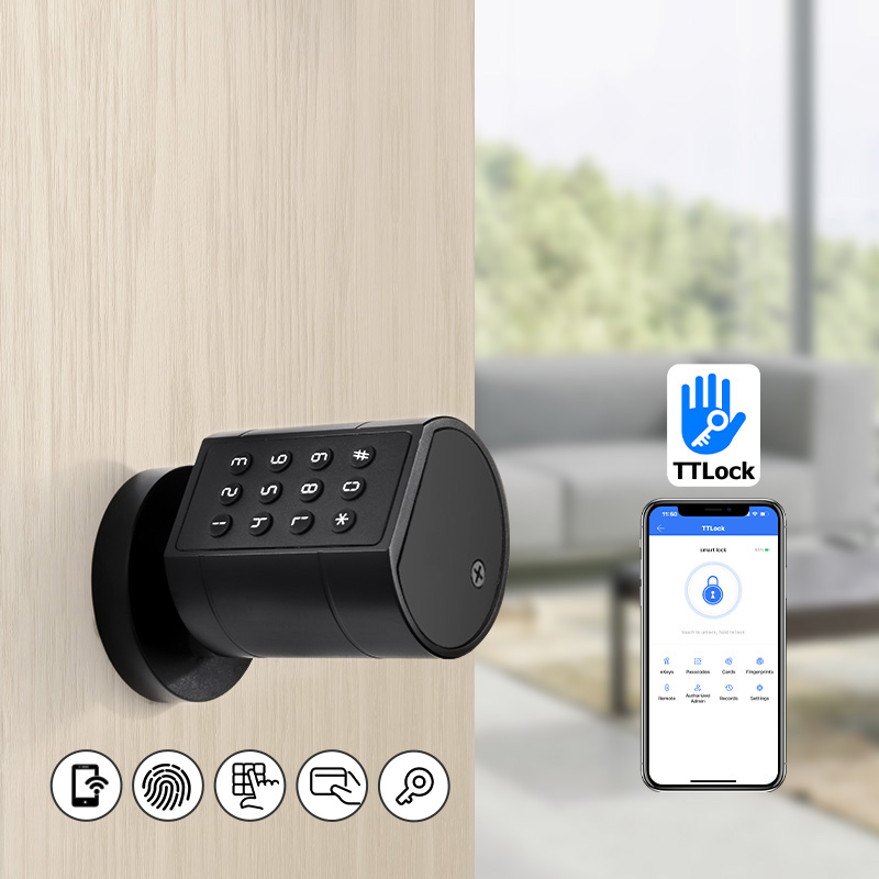 Cerradura de puerta cilíndrica - Smart Home For Windows reseña y precio