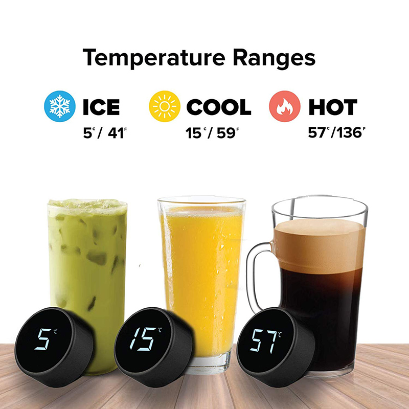 Botella de agua inteligente de - Home Smart Kettle reseña y precio