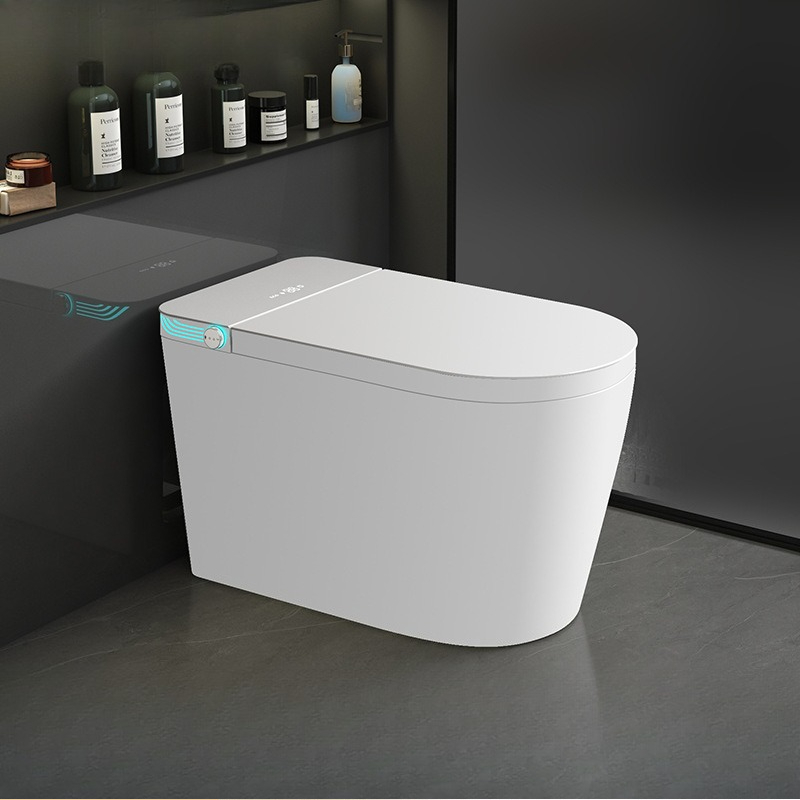 Inodoro inteligente con escudo - Smart Home Control reseña y precio